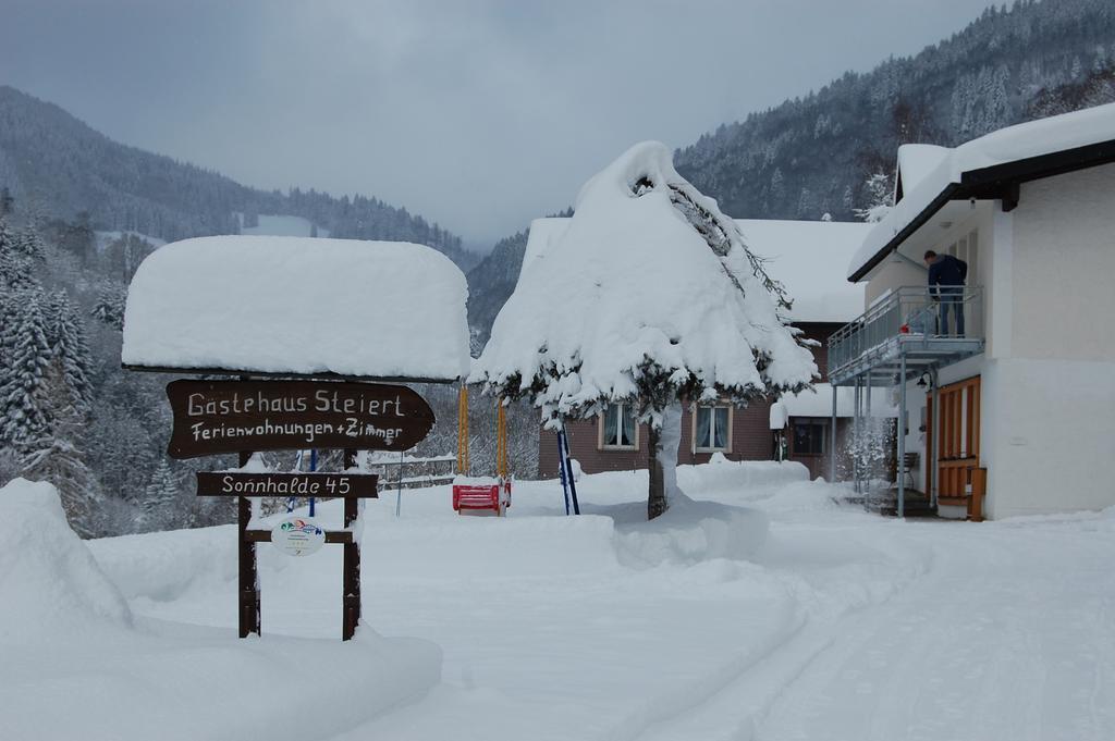 Steiert Panorama Apartments Todtnau Exteriér fotografie