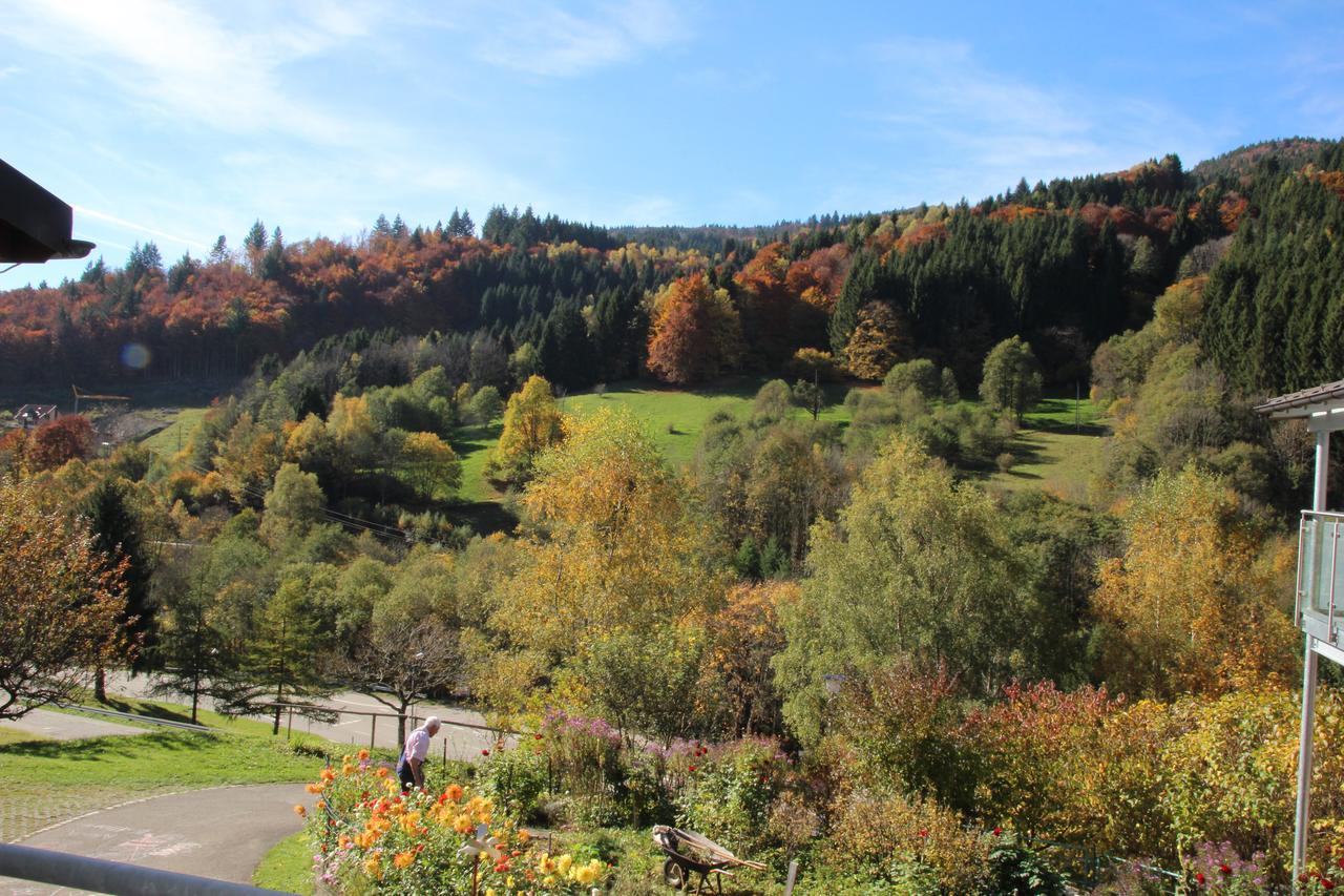 Steiert Panorama Apartments Todtnau Exteriér fotografie