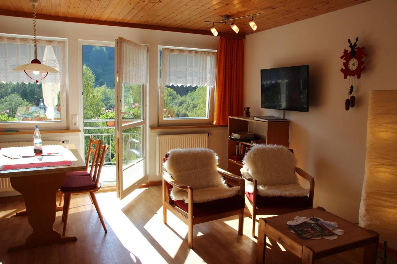Steiert Panorama Apartments Todtnau Exteriér fotografie
