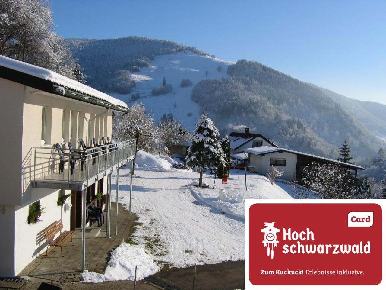 Steiert Panorama Apartments Todtnau Exteriér fotografie
